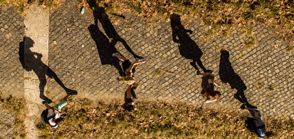 shadows of students walking