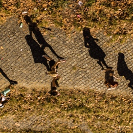 shadows of students walking